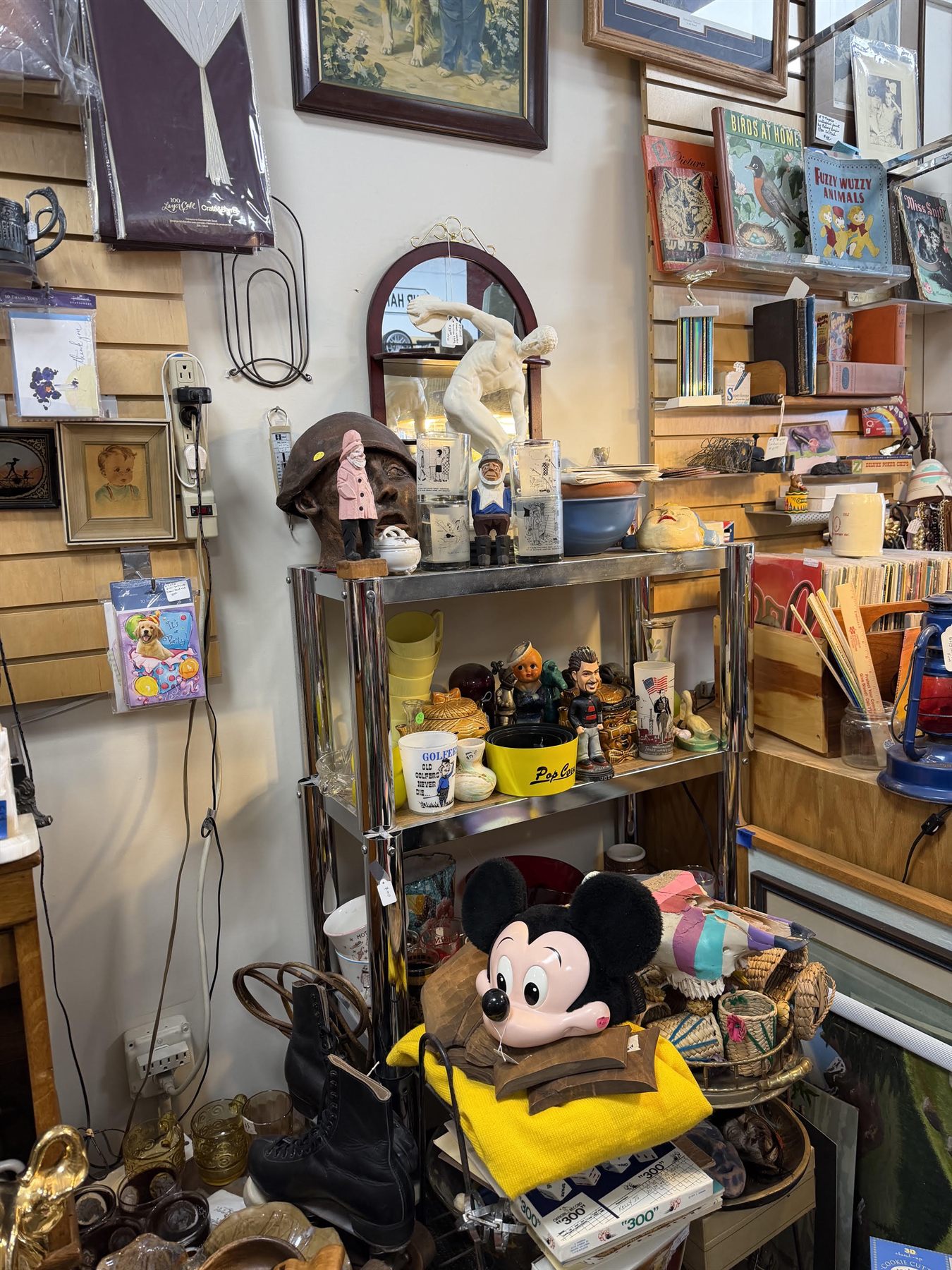 Shelves of vintage children's books and stacked records.